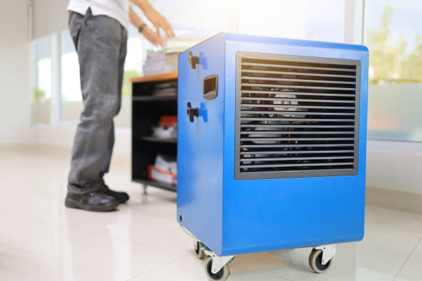 Best Mold Prevention Services  in Stepping Stone, CO
